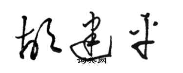 駱恆光胡建平草書個性簽名怎么寫