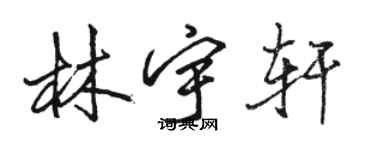 駱恆光林宇軒行書個性簽名怎么寫