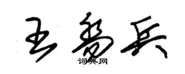 朱錫榮王喬兵草書個性簽名怎么寫