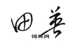 駱恆光田英草書個性簽名怎么寫