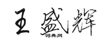 駱恆光王盛輝行書個性簽名怎么寫