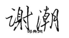 駱恆光謝潮行書個性簽名怎么寫