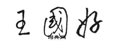 駱恆光王國好草書個性簽名怎么寫