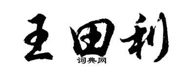 胡問遂王田利行書個性簽名怎么寫