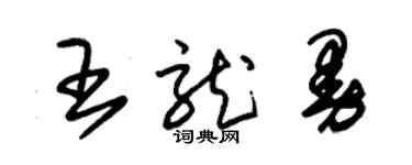 朱錫榮王龍曼草書個性簽名怎么寫