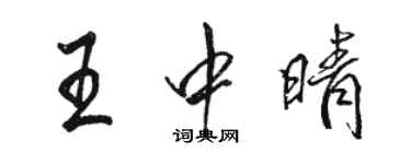 駱恆光王中晴行書個性簽名怎么寫