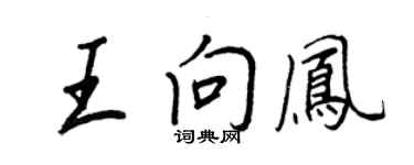 王正良王向鳳行書個性簽名怎么寫