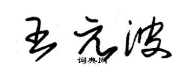 朱錫榮王元波草書個性簽名怎么寫