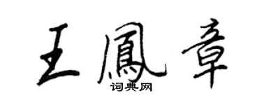 王正良王鳳章行書個性簽名怎么寫