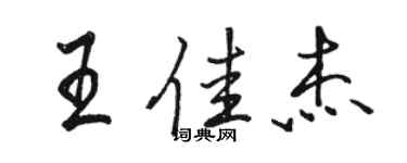 駱恆光王佳傑行書個性簽名怎么寫