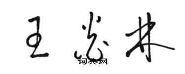 駱恆光王炎林草書個性簽名怎么寫