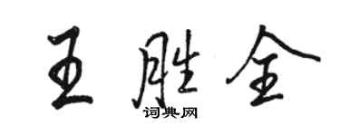駱恆光王勝全行書個性簽名怎么寫