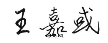 駱恆光王嘉或行書個性簽名怎么寫