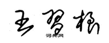 朱錫榮王習根草書個性簽名怎么寫