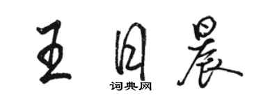 駱恆光王日晨行書個性簽名怎么寫