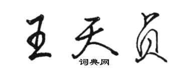 駱恆光王天貞行書個性簽名怎么寫