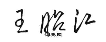 駱恆光王昭江草書個性簽名怎么寫