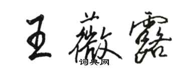 駱恆光王薇露行書個性簽名怎么寫