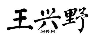 翁闓運王興野楷書個性簽名怎么寫