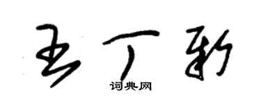 朱錫榮王丁新草書個性簽名怎么寫