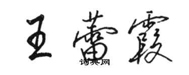 駱恆光王蕾霞行書個性簽名怎么寫