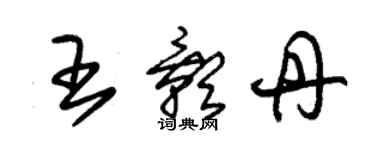 朱錫榮王影丹草書個性簽名怎么寫