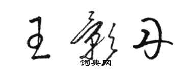 駱恆光王影丹草書個性簽名怎么寫