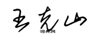 朱錫榮王克山草書個性簽名怎么寫