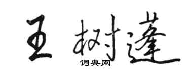 駱恆光王樹蓬行書個性簽名怎么寫