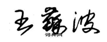 朱錫榮王蘇波草書個性簽名怎么寫