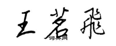 王正良王茗飛行書個性簽名怎么寫