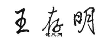 駱恆光王存明行書個性簽名怎么寫