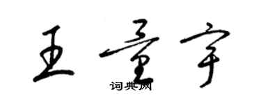 梁錦英王量宇草書個性簽名怎么寫
