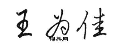 駱恆光王為佳行書個性簽名怎么寫