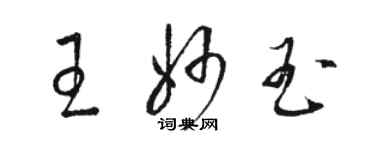 駱恆光王妙玉草書個性簽名怎么寫