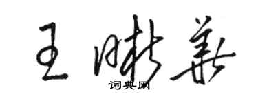 駱恆光王晰華草書個性簽名怎么寫