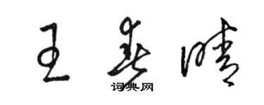 駱恆光王春晴草書個性簽名怎么寫