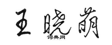 駱恆光王曉萌行書個性簽名怎么寫