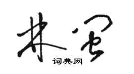 駱恆光林閩草書個性簽名怎么寫