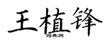 丁謙王植鋒楷書個性簽名怎么寫