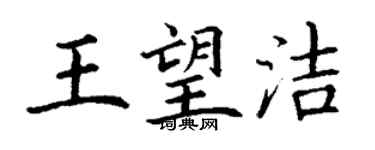 丁謙王望潔楷書個性簽名怎么寫