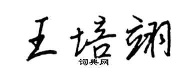 王正良王培翊行書個性簽名怎么寫