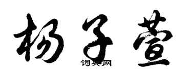 胡問遂楊子萱行書個性簽名怎么寫