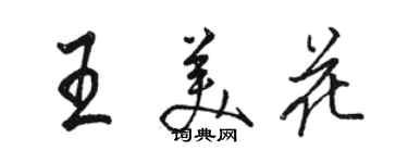 駱恆光王美花行書個性簽名怎么寫