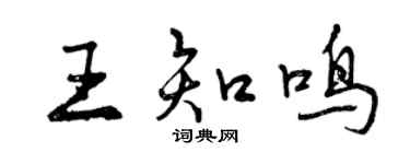 曾慶福王知鳴行書個性簽名怎么寫