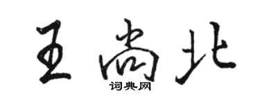 駱恆光王尚北行書個性簽名怎么寫