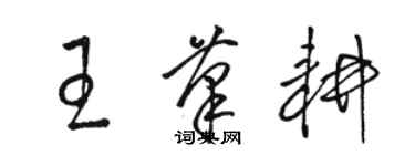 駱恆光王筆耕草書個性簽名怎么寫