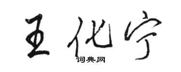 駱恆光王化寧行書個性簽名怎么寫