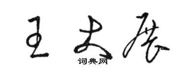 駱恆光王大展草書個性簽名怎么寫