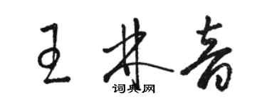 駱恆光王林音草書個性簽名怎么寫